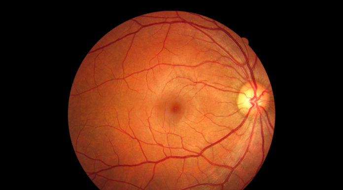Look, your eyes are wired backwards: here’s why