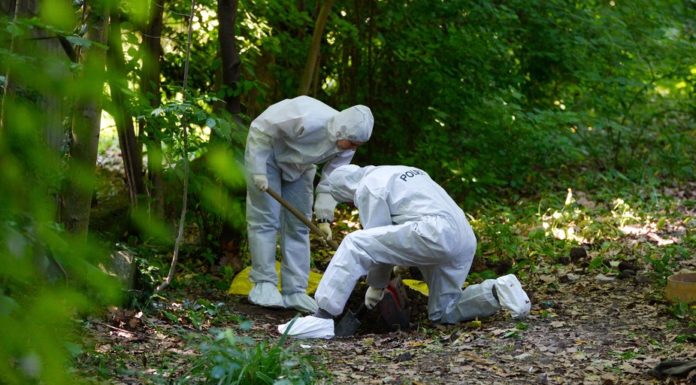 Bacteria on shoes could help forensic teams catch suspects