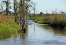 EPA’s Clean Water Rule: what’s at stake and what comes next