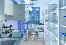 Early-career researchers the missing link for STEM diversity