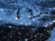A melting Arctic and weird weather: the plot thickens