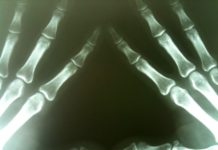 Brainy bones: the hidden complexity inside your skeleton