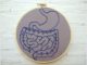 How gut bacteria ensure a healthy brain – and could play a role in treating depression