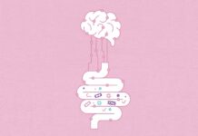 Microbes can influence the connection between the gut and the brain. JDawnInk/DigitalVision Vectors via Getty Images