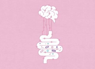 Gut microbe imbalances could predict a child’s risk for autism, ADHD and speech disorders years before symptoms appear Microbes can influence the connection between the gut and the brain. JDawnInk/DigitalVision Vectors via Getty Images