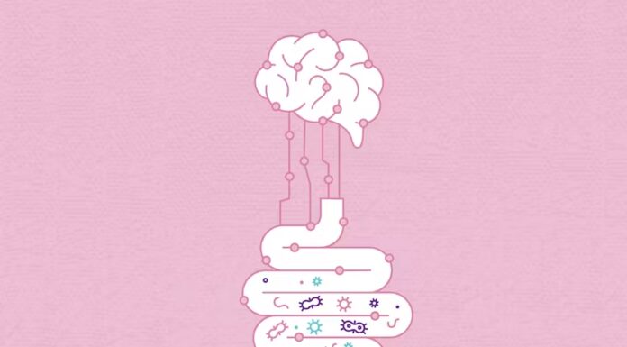 Microbes can influence the connection between the gut and the brain. JDawnInk/DigitalVision Vectors via Getty Images