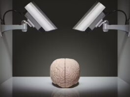 Neuroergonomics brings neuroscience into the workplace. David Crockett/Moment via Getty Images