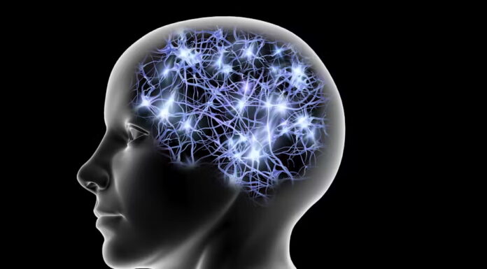 Neurons that fire together sometimes wire together. PASIEKA/Science Photo Library via Getty Images